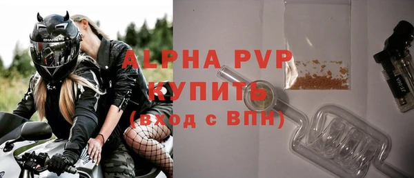 гашик Алексин