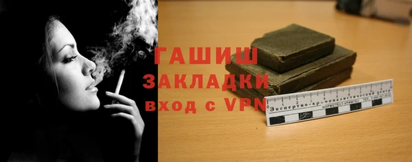 гашик Алексин