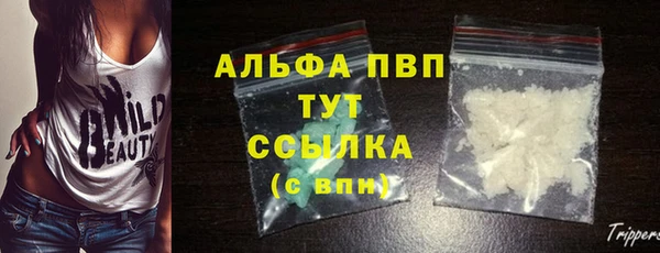 гашик Алексин