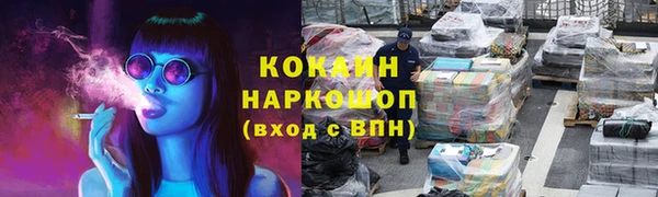 гашик Алексин