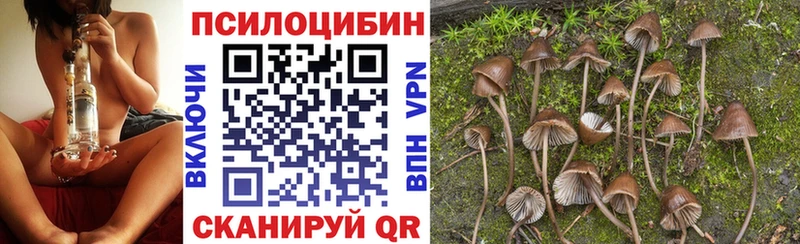 Псилоцибиновые грибы ЛСД  цена   Нижнекамск 