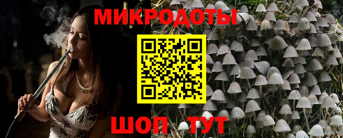 Галлюциногенные грибы Psilocybe Нижнекамск