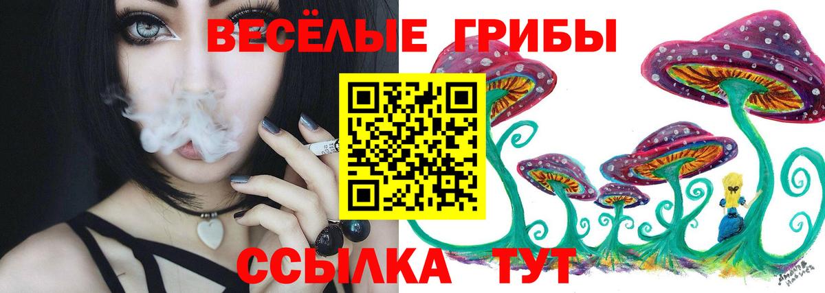 Галлюциногенные грибы MAGIC MUSHROOMS  Вход с VPN  Нижнекамск 